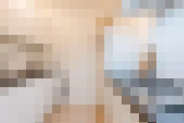 Monseigneur van Steelaan 201 Voorburg thumbnail 17