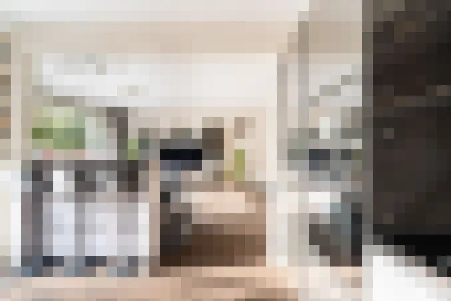 Monseigneur van Steelaan 225 Voorburg thumbnail 18