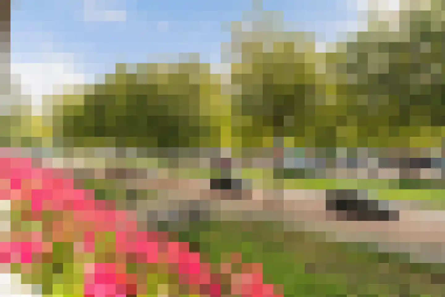 Monseigneur van Steelaan 225 Voorburg thumbnail 21