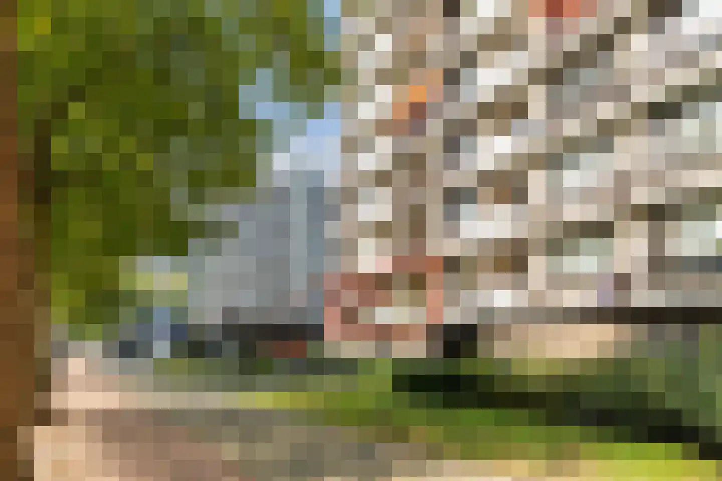 Monseigneur van Steelaan 225 Voorburg thumbnail 4