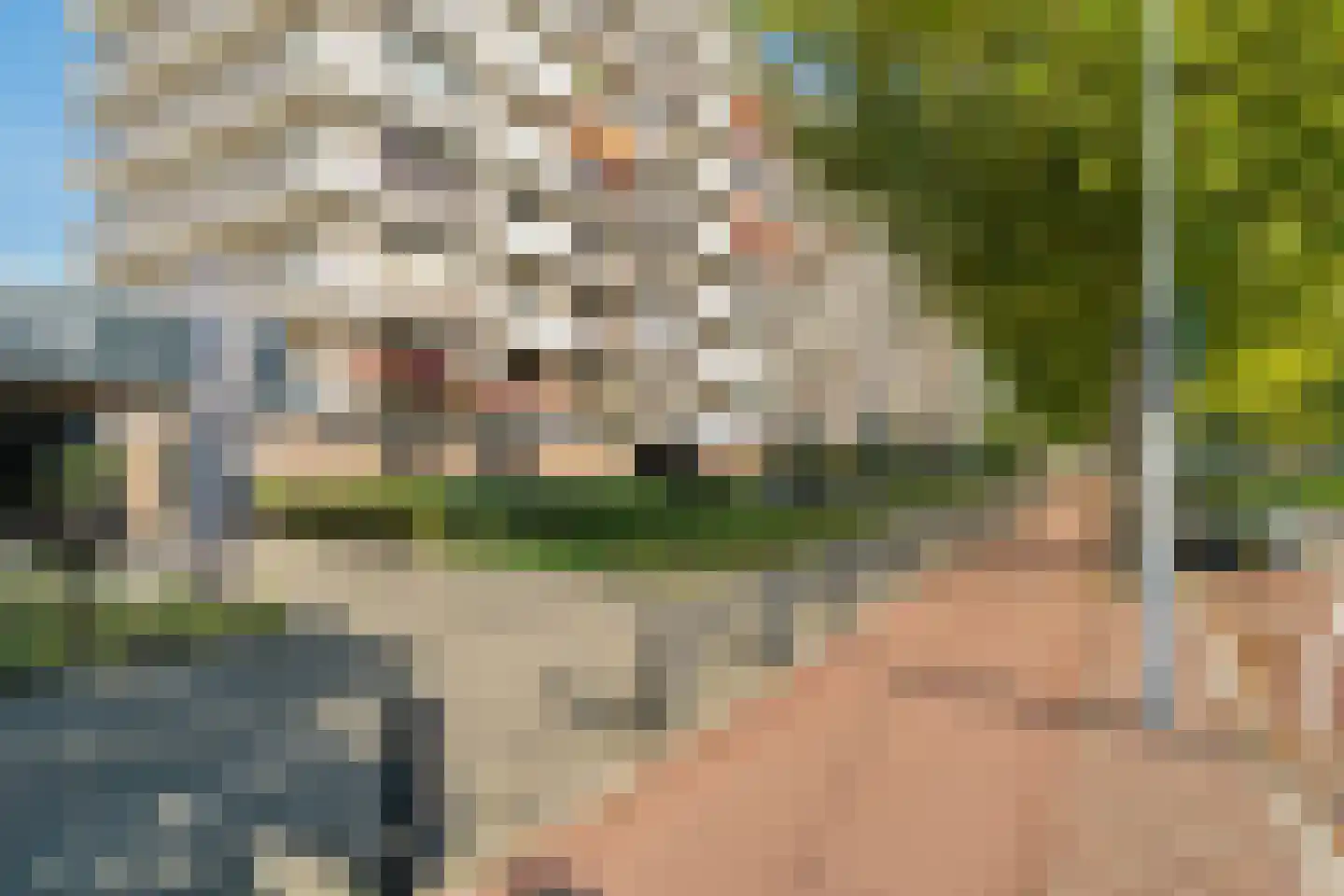 Monseigneur van Steelaan 225 Voorburg thumbnail 43