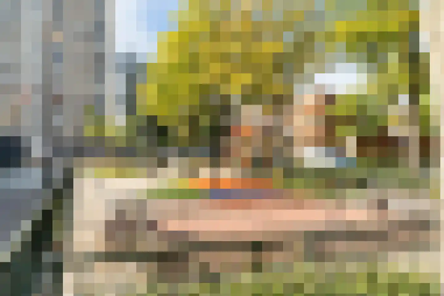 Monseigneur van Steelaan 225 Voorburg thumbnail 48
