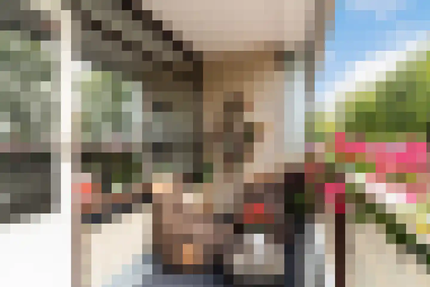 Monseigneur van Steelaan 225 Voorburg thumbnail 5