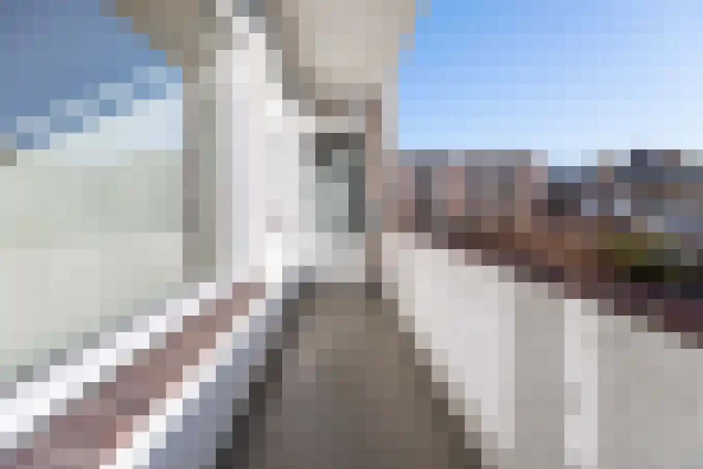 Monseigneur van Steelaan 256 Voorburg thumbnail 15