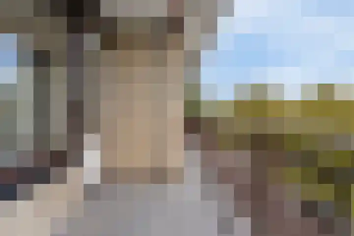 Monseigneur van Steelaan 287 Voorburg thumbnail 22