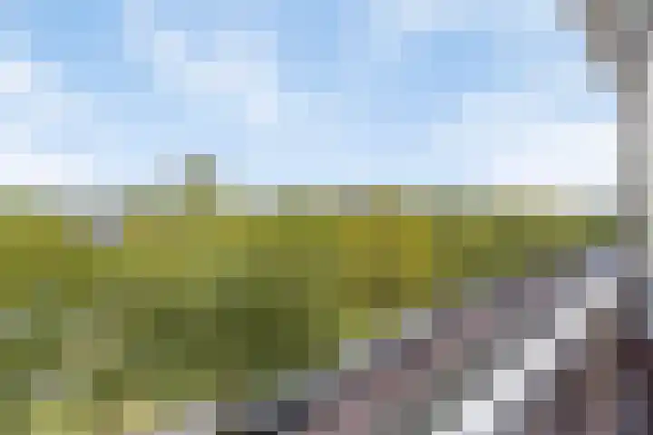 Monseigneur van Steelaan 287 Voorburg thumbnail 23