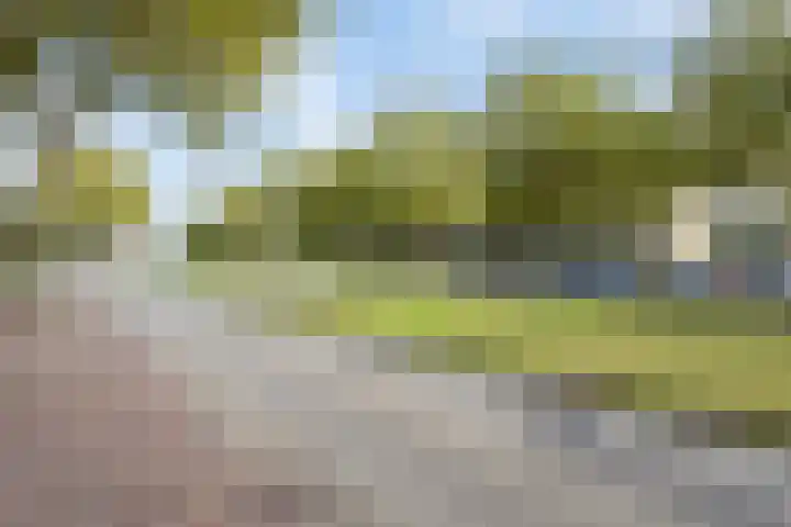 Monseigneur van Steelaan 287 Voorburg thumbnail 24