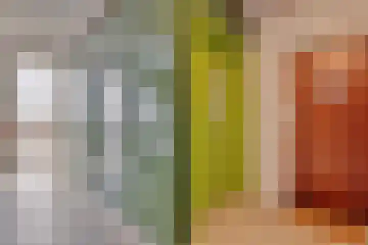 Monseigneur van Steelaan 287 Voorburg thumbnail 5