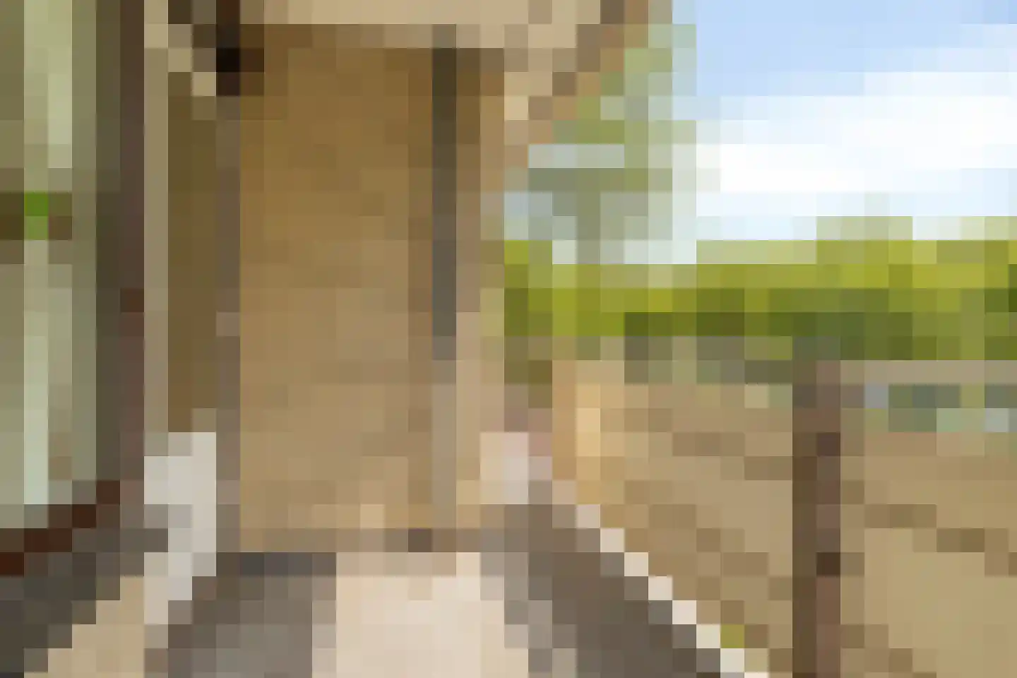 Monseigneur van Steelaan 319 Voorburg thumbnail 24