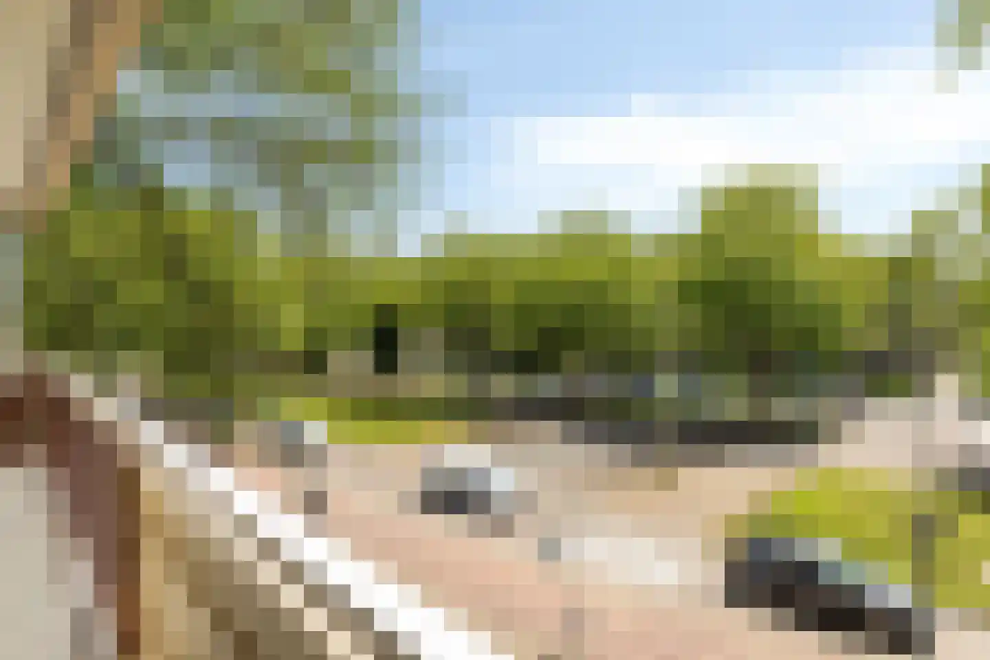 Monseigneur van Steelaan 319 Voorburg thumbnail 25