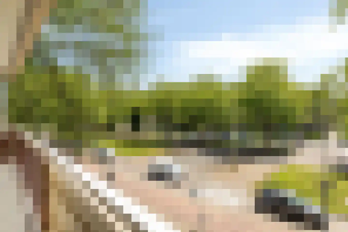 Monseigneur van Steelaan 319 Voorburg thumbnail 26