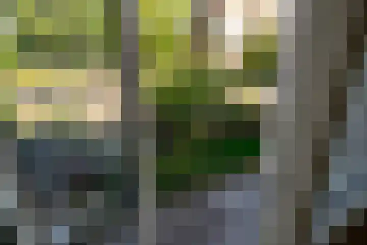 Monseigneur van Steelaan 33 Voorburg thumbnail 11