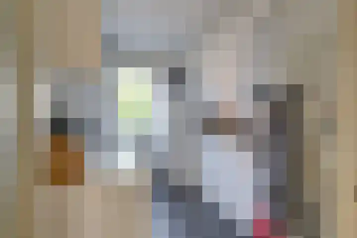 Monseigneur van Steelaan 33 Voorburg thumbnail 12