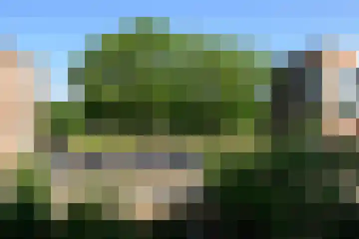 Monseigneur van Steelaan 33 Voorburg thumbnail 18
