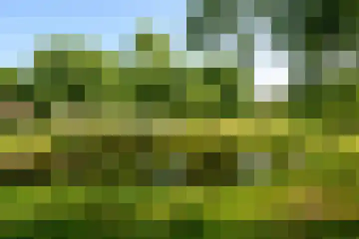Monseigneur van Steelaan 33 Voorburg thumbnail 21