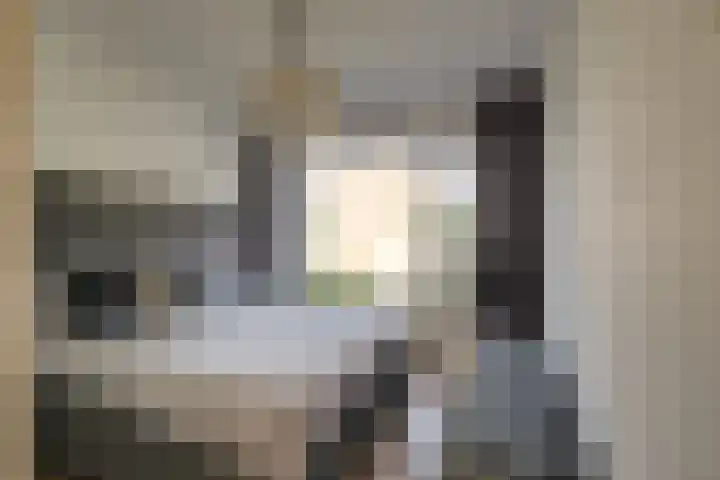 Monseigneur van Steelaan 33 Voorburg thumbnail 4
