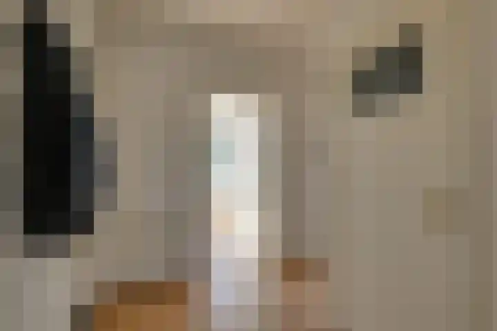 Monseigneur van Steelaan 33 Voorburg thumbnail 7