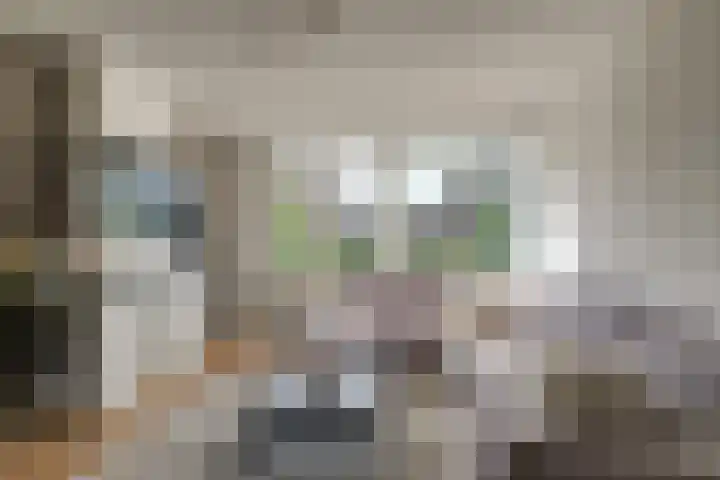 Monseigneur van Steelaan 33 Voorburg thumbnail 8
