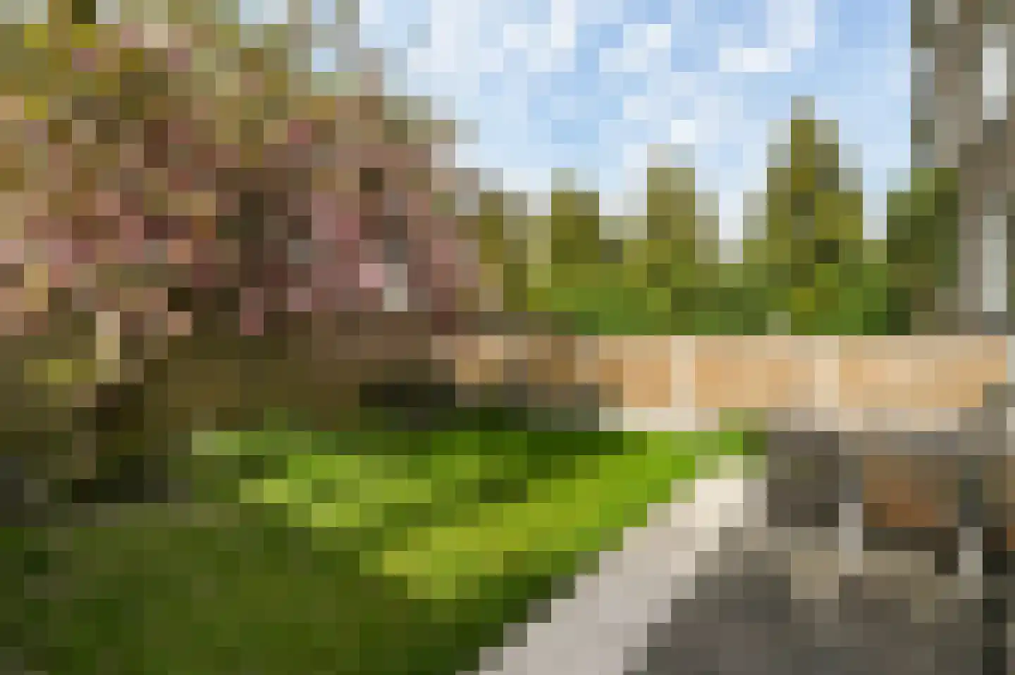 Monseigneur van Steelaan 37 Voorburg thumbnail 25