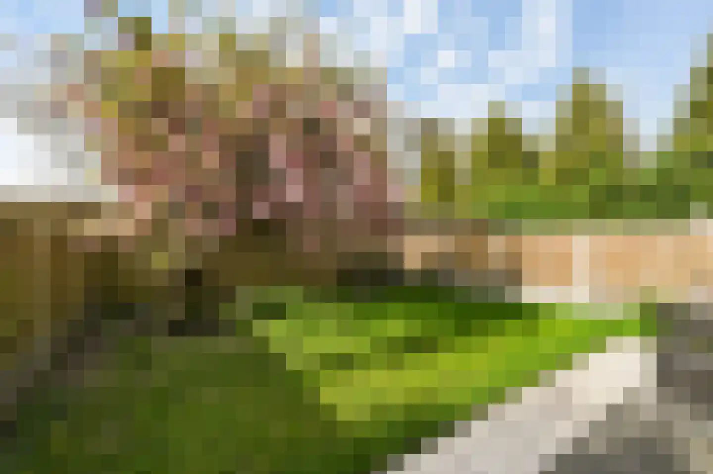 Monseigneur van Steelaan 37 Voorburg thumbnail 26