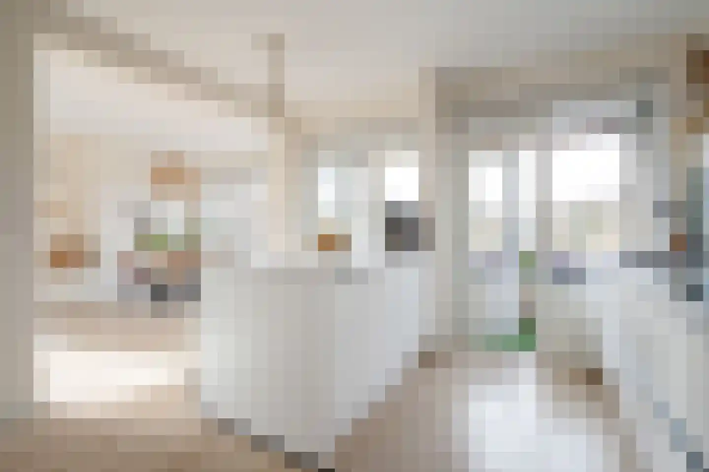 Monseigneur van Steelaan 404 Voorburg thumbnail 10