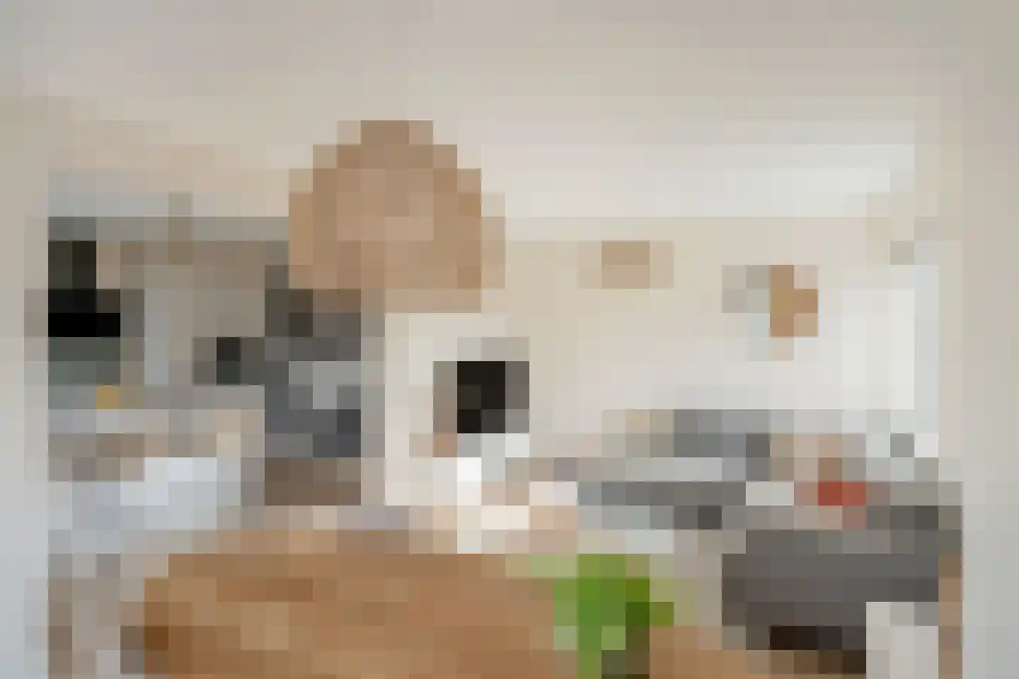 Monseigneur van Steelaan 404 Voorburg thumbnail 20