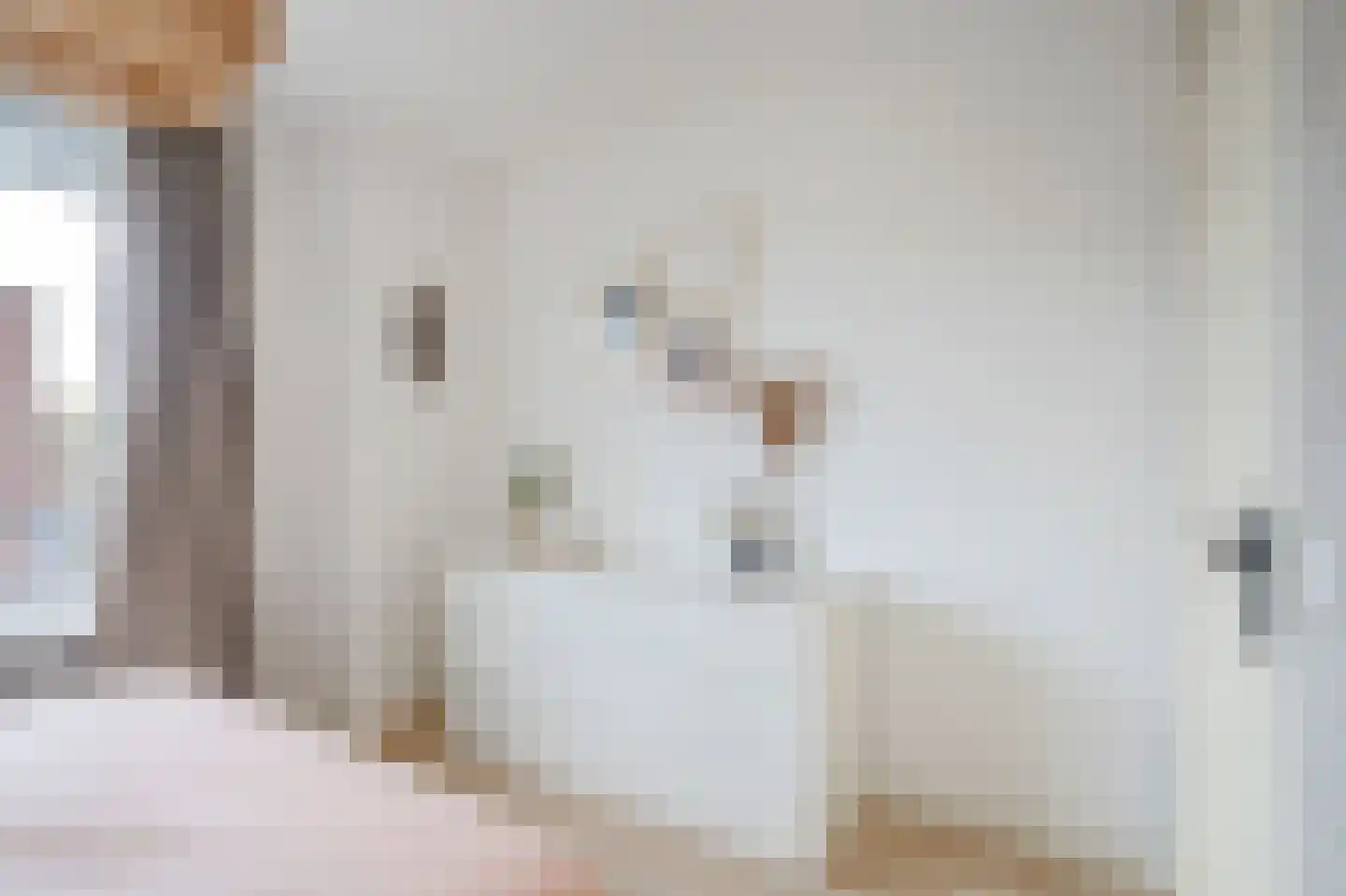 Monseigneur van Steelaan 404 Voorburg thumbnail 25
