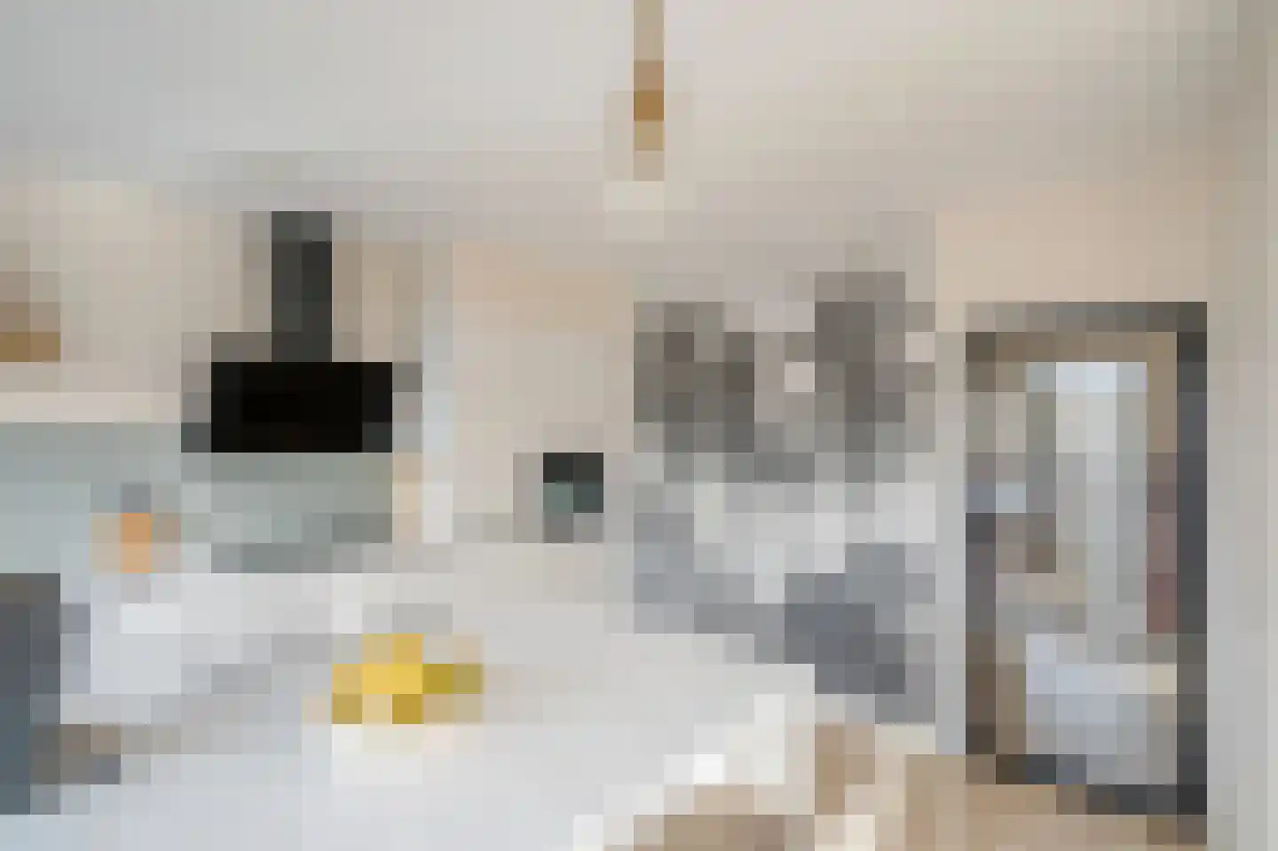 Monseigneur van Steelaan 404 Voorburg thumbnail 9