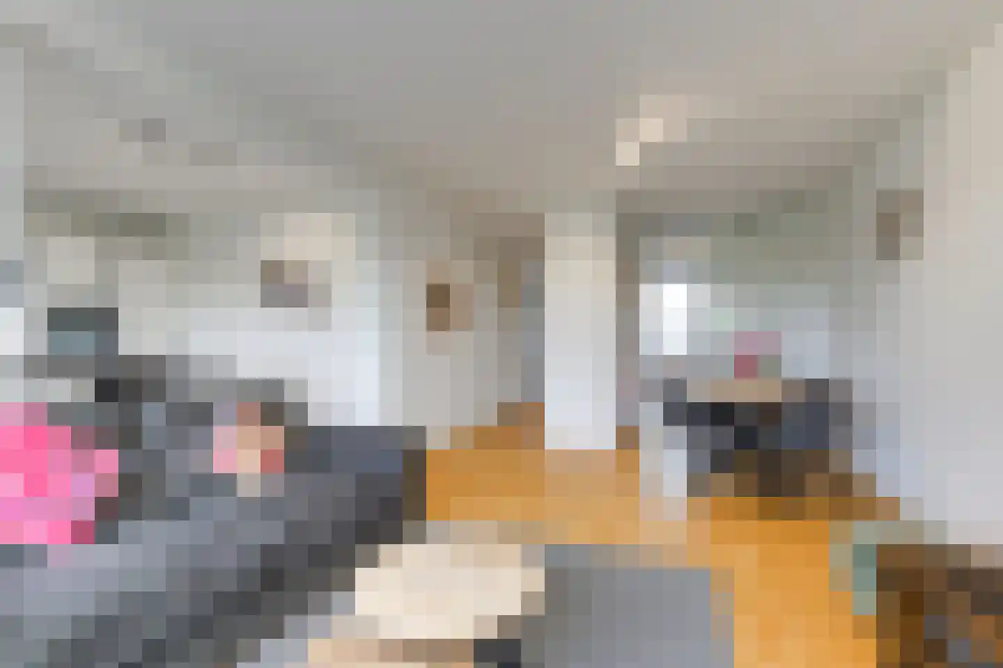 Monseigneur van Steelaan 408 Voorburg thumbnail 8