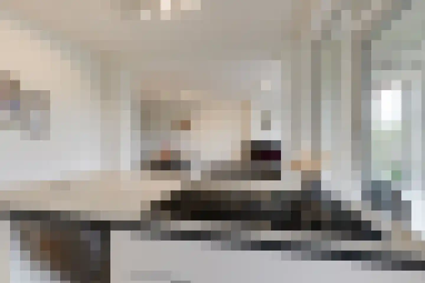 Monseigneur van Steelaan 408 Voorburg thumbnail 9
