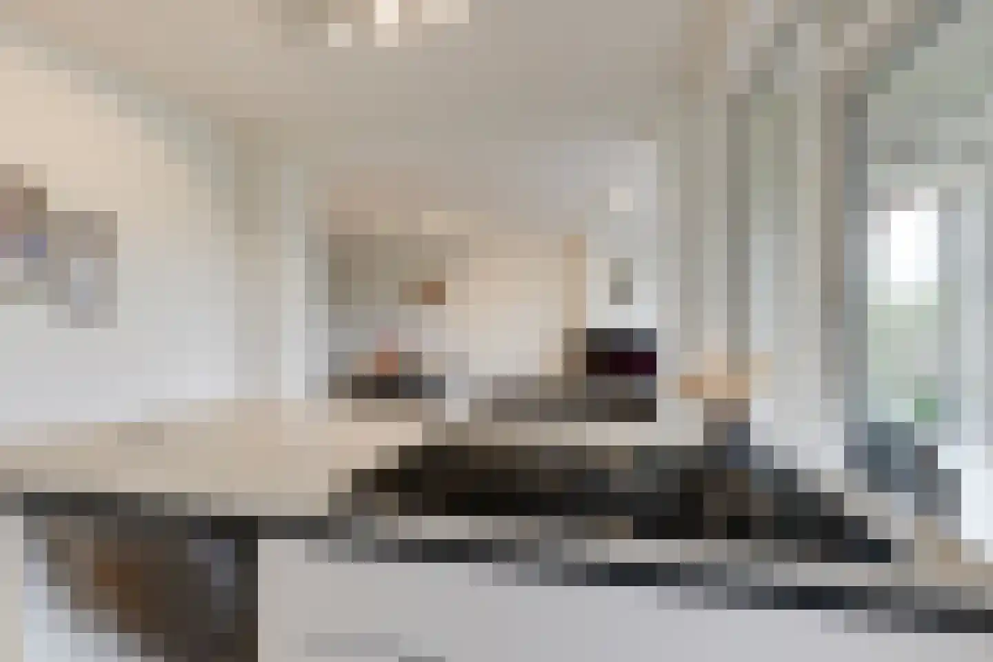 Monseigneur van Steelaan 408 Voorburg thumbnail 9