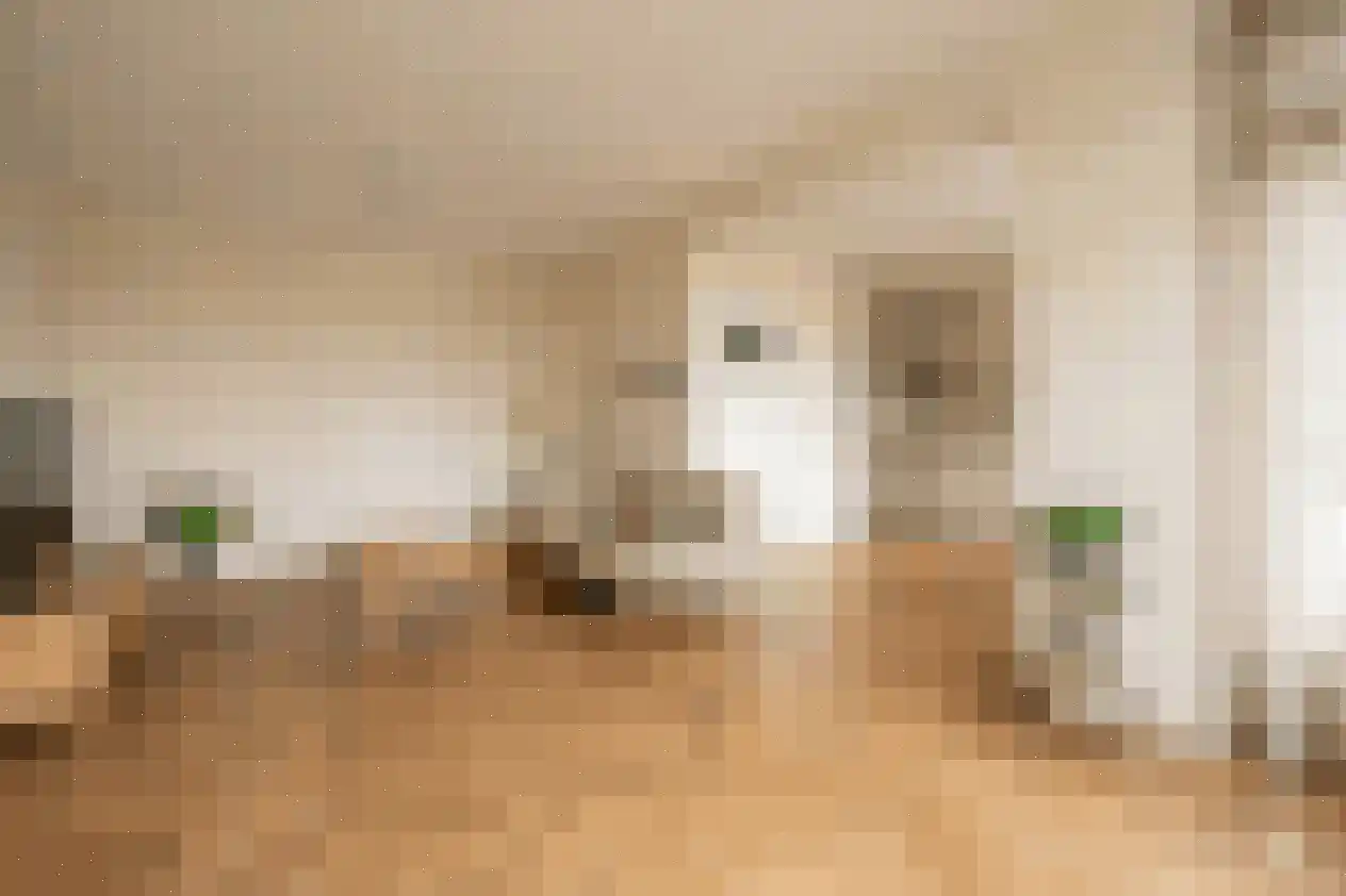 Monseigneur van Steelaan 414 Voorburg thumbnail 11