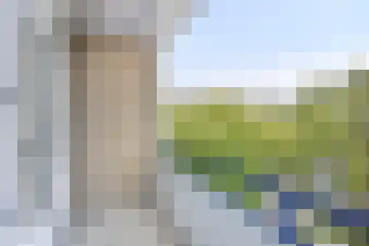 Monseigneur van Steelaan 446 Voorburg thumbnail 27