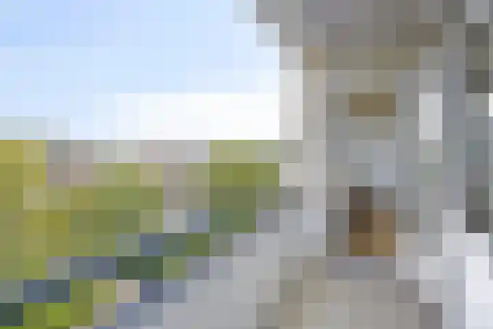 Monseigneur van Steelaan 446 Voorburg thumbnail 4
