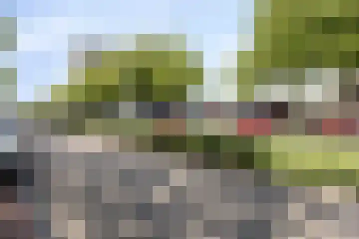 Monseigneur van Steelaan 446 Voorburg thumbnail 5