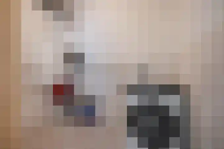 Monseigneur van Steelaan 57 F Voorburg thumbnail 20