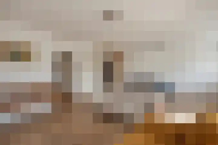 Monseigneur van Steelaan 57 F Voorburg thumbnail 8