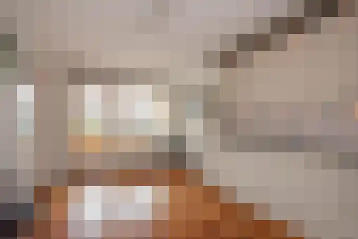 Monseigneur van Steelaan 59 H Voorburg thumbnail 12