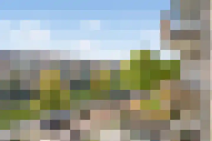 Monseigneur van Steelaan 59 H Voorburg thumbnail 14