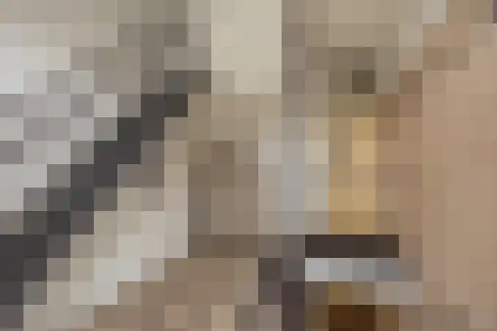 Monseigneur van Steelaan 59 H Voorburg thumbnail 4