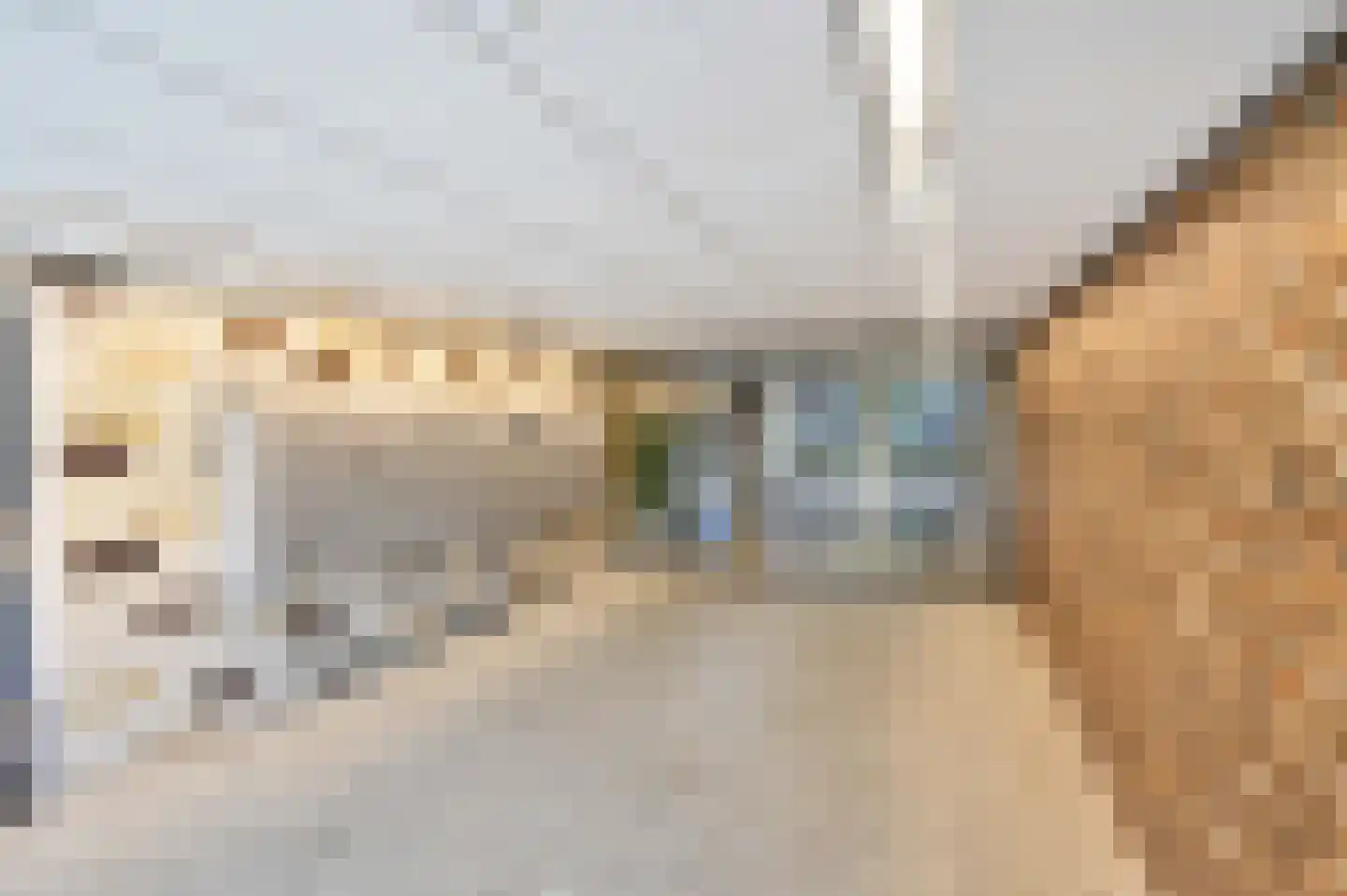 Monseigneur van Steelaan 65 Voorburg thumbnail 6