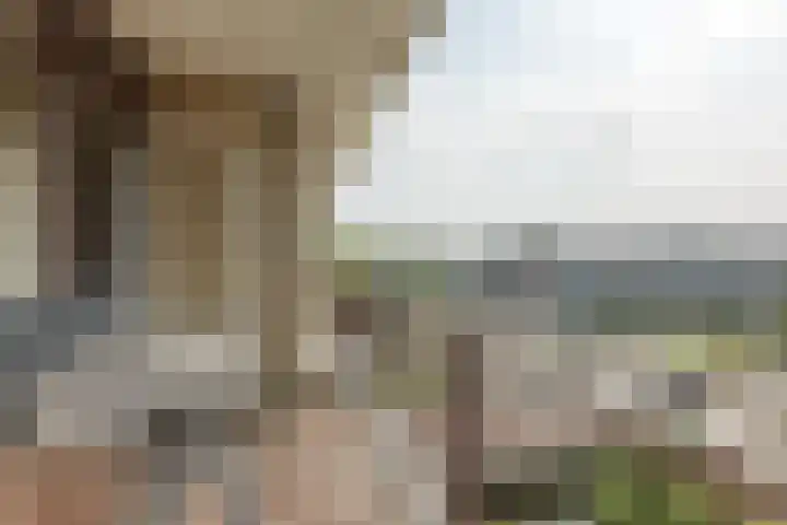 Monseigneur van Steelaan 81 Voorburg thumbnail 11
