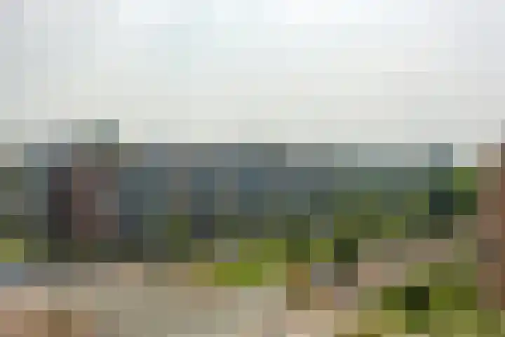 Monseigneur van Steelaan 81 Voorburg thumbnail 12