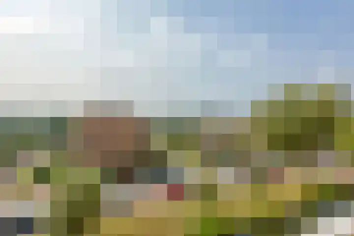 Monseigneur van Steelaan 81 Voorburg thumbnail 13