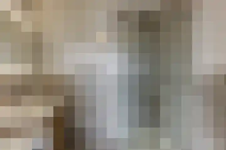 Monseigneur van Steelaan 81 Voorburg thumbnail 20