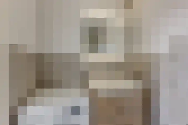 Monseigneur van Steelaan 81 Voorburg thumbnail 21