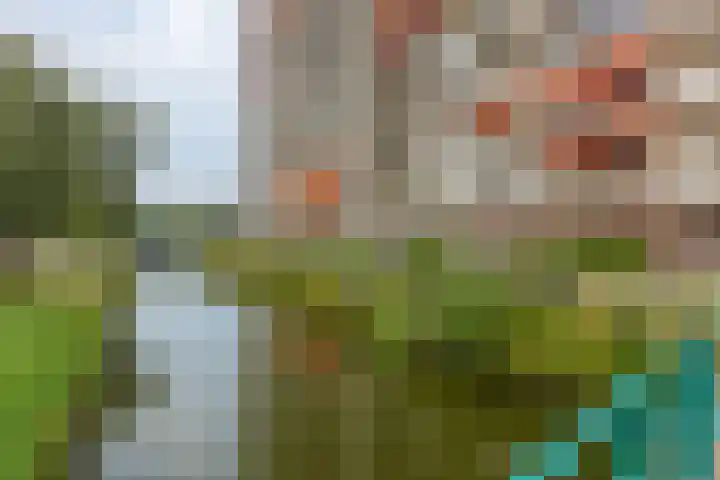 Monseigneur van Steelaan 81 Voorburg thumbnail 22