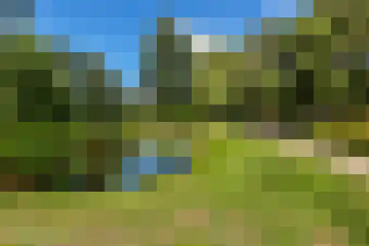 Monseigneur van Steelaan 81 Voorburg thumbnail 24