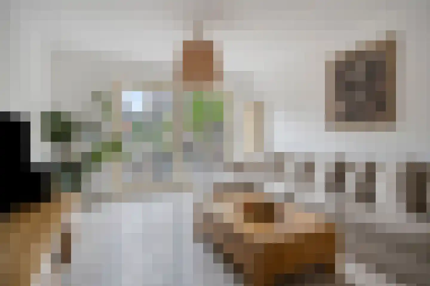 Monseigneur Völkerstraat 25 Kaatsheuvel thumbnail 12