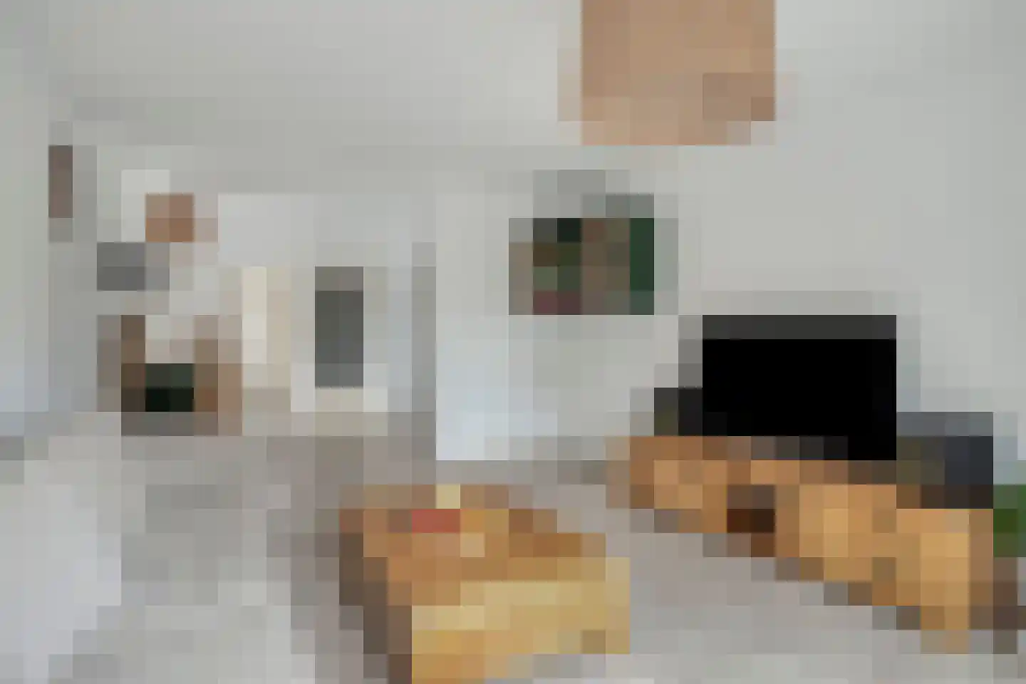 Monseigneur Völkerstraat 25 Kaatsheuvel thumbnail 15